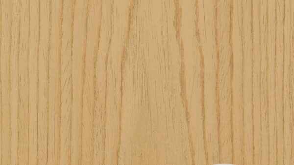 R 029X